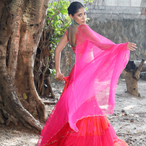 Pink/Red Printed Tiered Lehenga Set