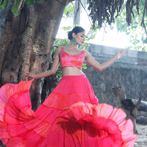 Pink/Red Printed Tiered Lehenga Set