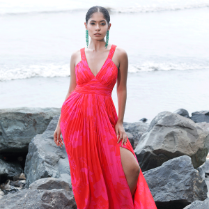 Nikita Madhani In Pink/Red Printed Long Dress
